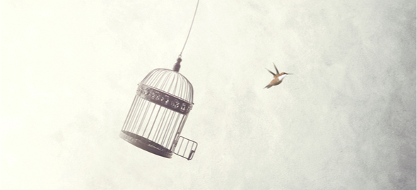 Thumbnail for sample: Absolute Freiheit gibt es nicht